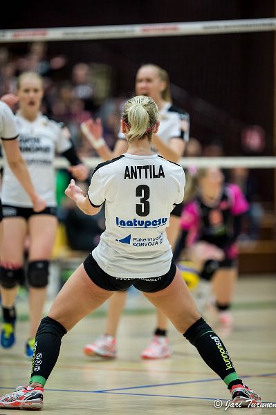 31.3.2016 - (Puijo Wolley N-MesTo N) 31.3.2016 - (Puijo Wolley N-MesTo N)