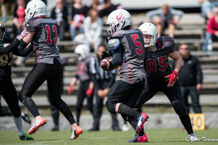 12.6.2016 - (Steelers N-Butchers N)