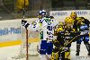 10.1.2012 - (KalPa-Lukko) kuva: 2