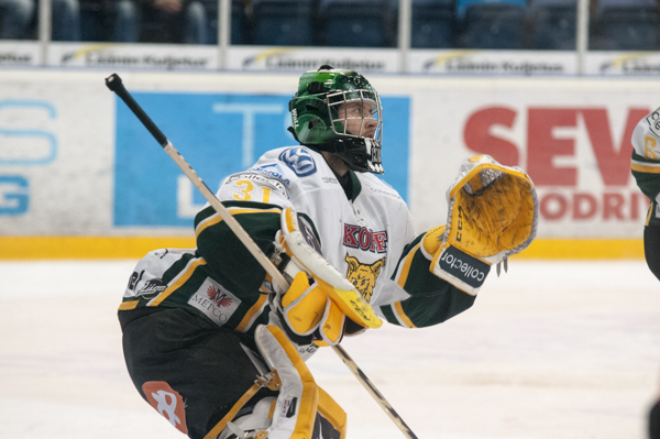 21.1.2014 - (Pelicans-Ilves)