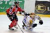 30.11.2010 - (Ässät-Kärpät) kuva: 14