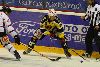 20.2.2010 - (Kärpät-UKP) kuva: 36