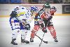 27.8.2010 - (Ässät-Lukko) kuva: 8