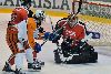 3.11.2010 - (Ässät A-Tappara A) kuva: 8