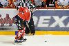 3.11.2010 - (Ässät A-Tappara A) kuva: 13