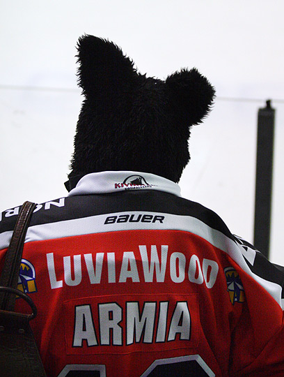 30.11.2010 - (Ässät-Kärpät)