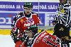 30.11.2010 - (Ässät-Kärpät) kuva: 16