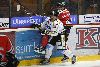 30.11.2010 - (Ässät-Kärpät) kuva: 18