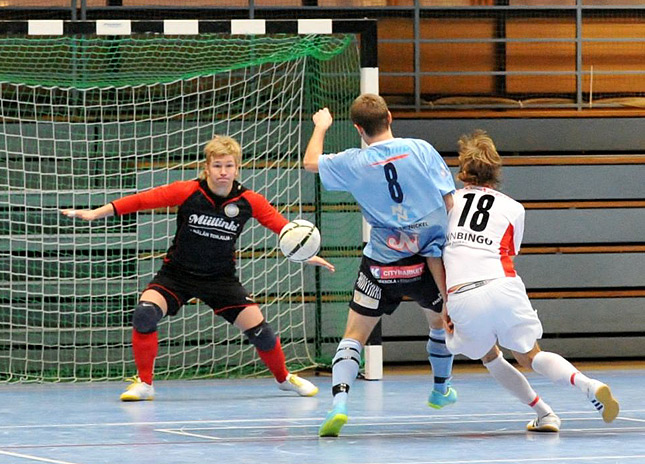 4.12.2010 - (PoPa-Tervarit)