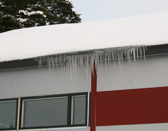 14.1.2011 - Patajunnuareena