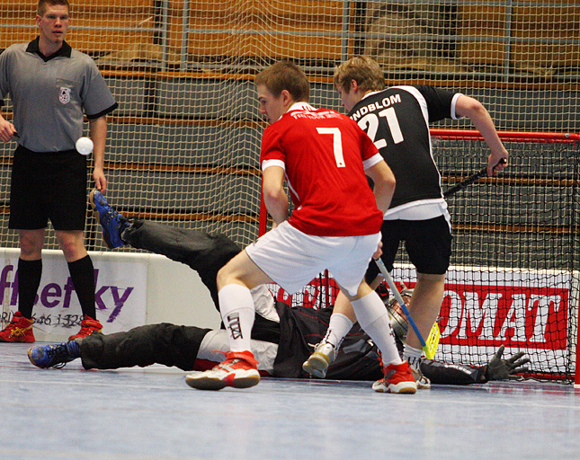 16.1.2011 - (SBS Pori-RUOSKA)