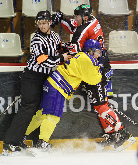 22.1.2011 - (Ässät A-Lukko A)