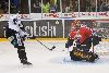 5.8.2011 - (Ässät-TPS) kuva: 13