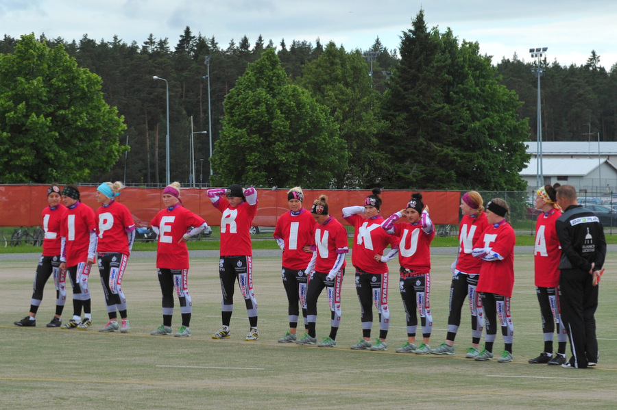 27.6.2012 - (Pesäkarhut N-Viinijärvi N)