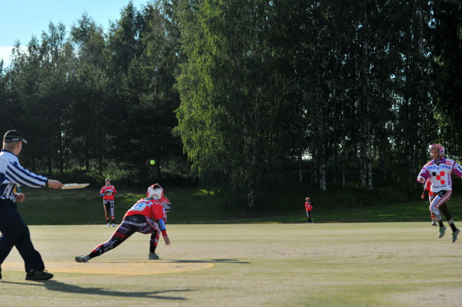 27.6.2012 - (Pesäkarhut N-Viinijärvi N)