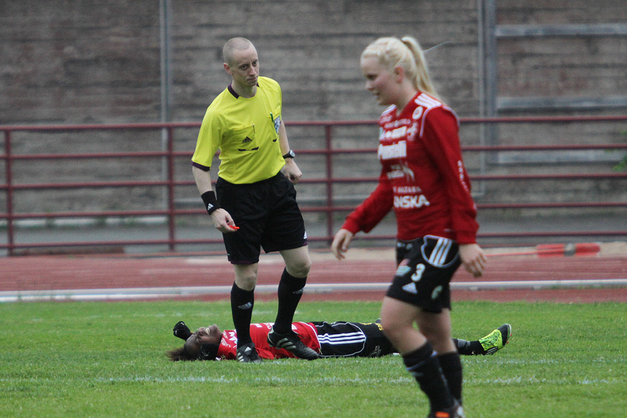 9.6.2012 - (NiceF N-FC Honka N)