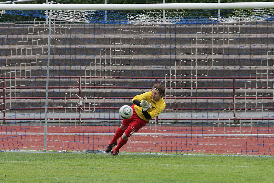 9.6.2012 - (NiceF N-FC Honka N)