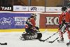 15.9.2012 - (Ässät A-HPK A) kuva: 28