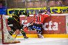 7.9.2012 - (Ässät-Ilves) kuva: 8