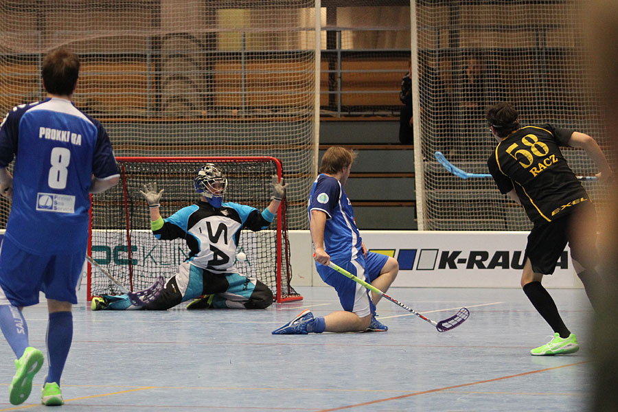 4.12.2013 - (Karhut-Ilves)