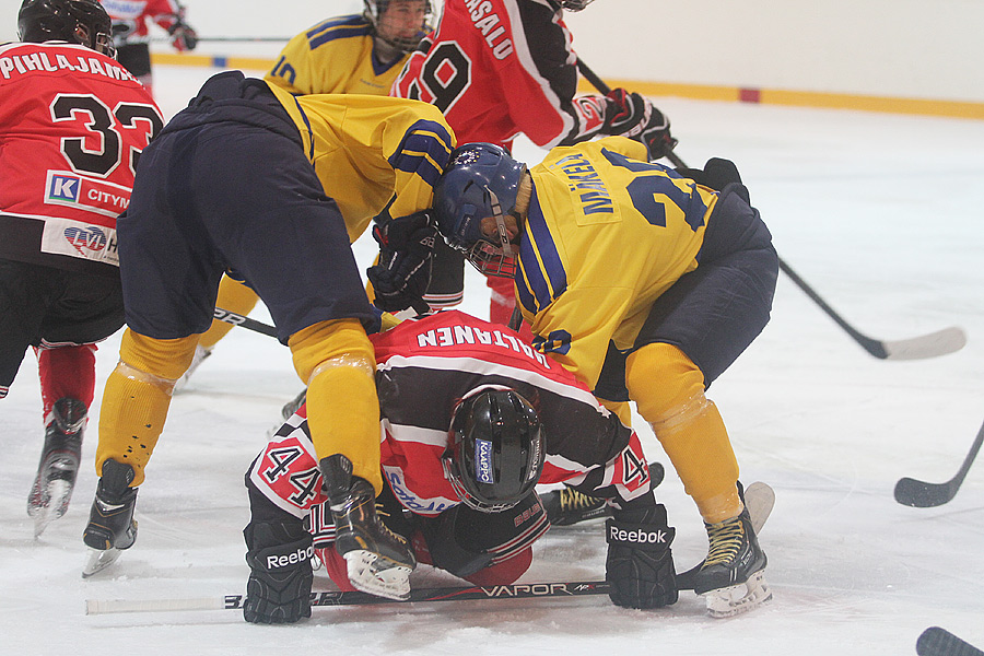 11.3.2013 - (Ässät B-Lukko B)