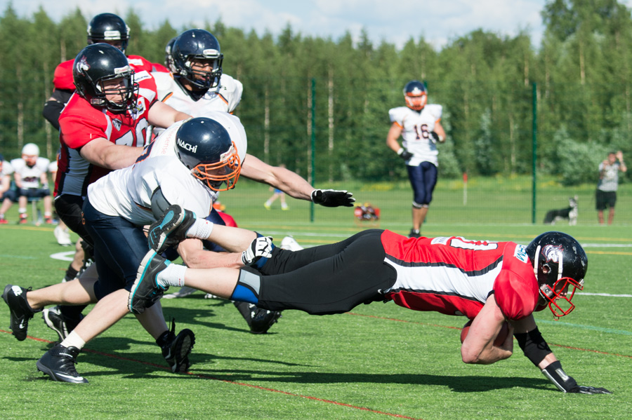 8.6.2013 - (Huskies-Bears)