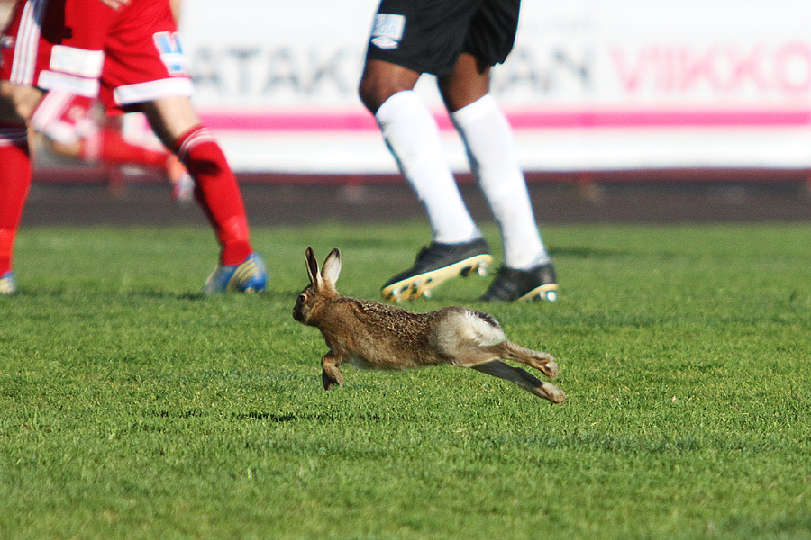 12.5.2014 - (FC Jazz-Haka)