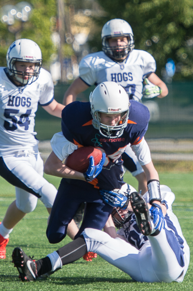 28.6.2014 - (v19 7vs7 Bears-St. Petersburg Hogs)