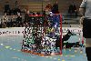 24.1.2015 - (Karhut-UHV Bulls) kuva: 13