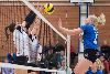 14.3.2015 - (KoIsku-Hel Volley A1) kuva: 70