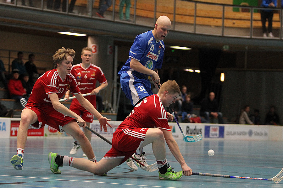28.3.2015 - (Karhut-Tiikerit)