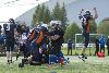 7.6.2015 - (Bears-Lions) kuva: 105