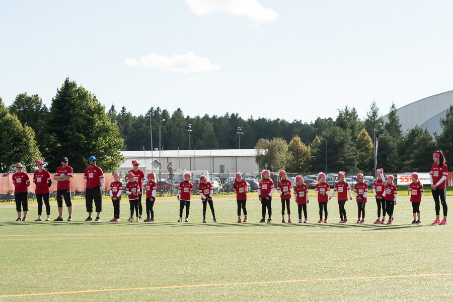 31.7.2016 - (Pesäkarhut N-Seinäjoki N)