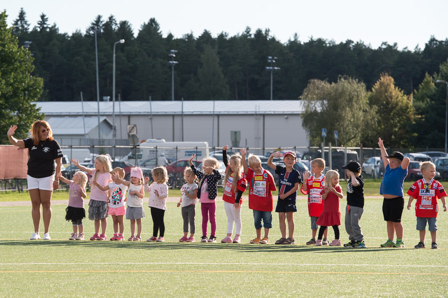 31.7.2016 - (Pesäkarhut N-Seinäjoki N)