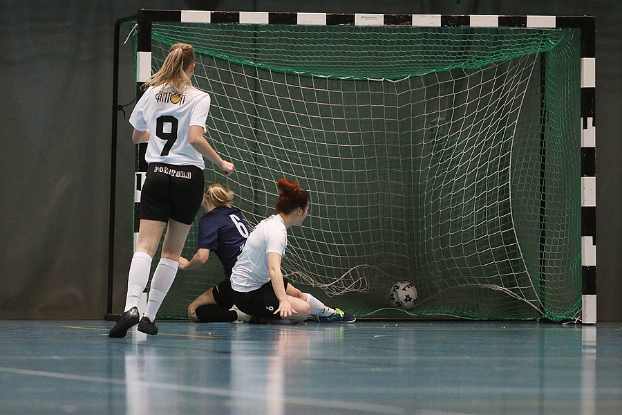 27.1.2019 - (MuSaFutsal N-YIlves N)