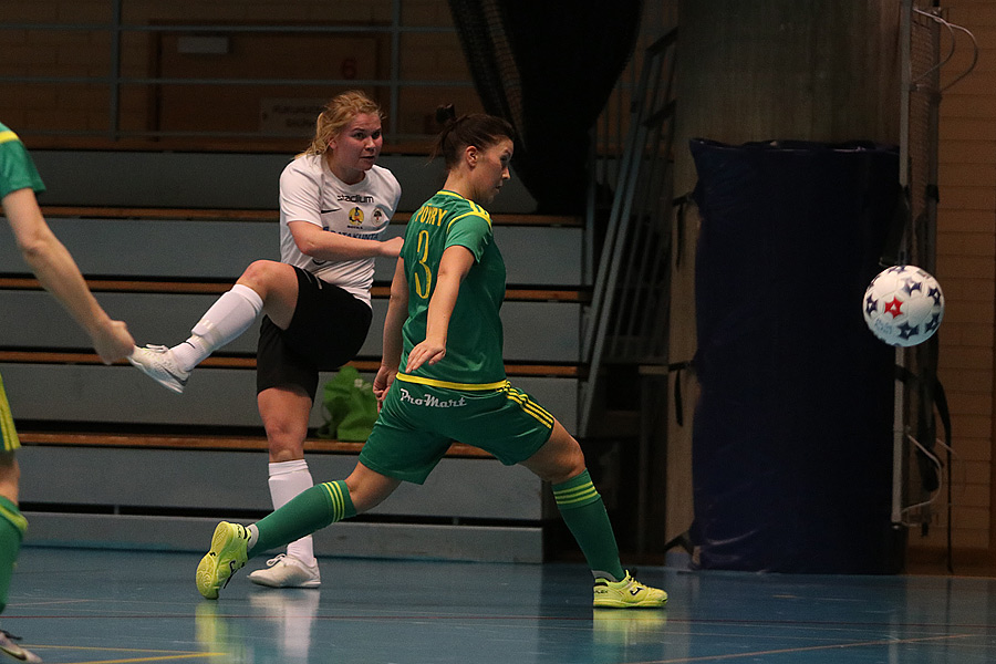 23.2.2019 - (MuSaFutsal N-Ilves N)