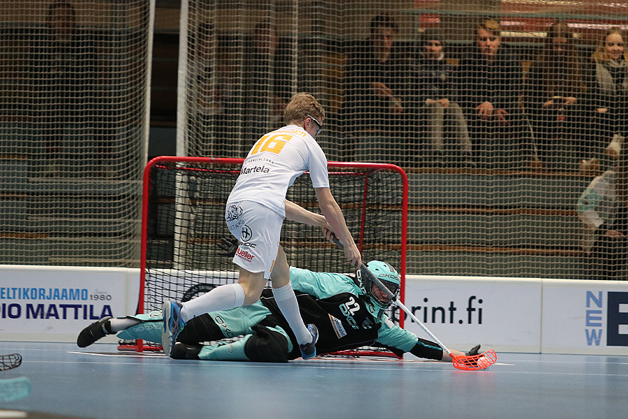 17.3.2019 - (Karhut-Steelers)