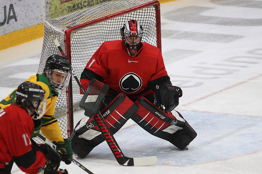 7.2.2021 - (Ässät A-Ilves A)