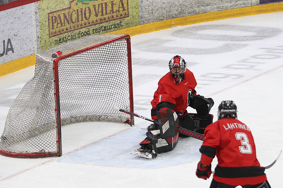 7.2.2021 - (Ässät A-Ilves A)