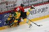 7.2.2021 - (Ässät A-Ilves A) kuva: 15