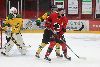 7.2.2021 - (Ässät A-Ilves A) kuva: 75