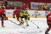 7.2.2021 - (Ässät A-Ilves A) kuva: 102