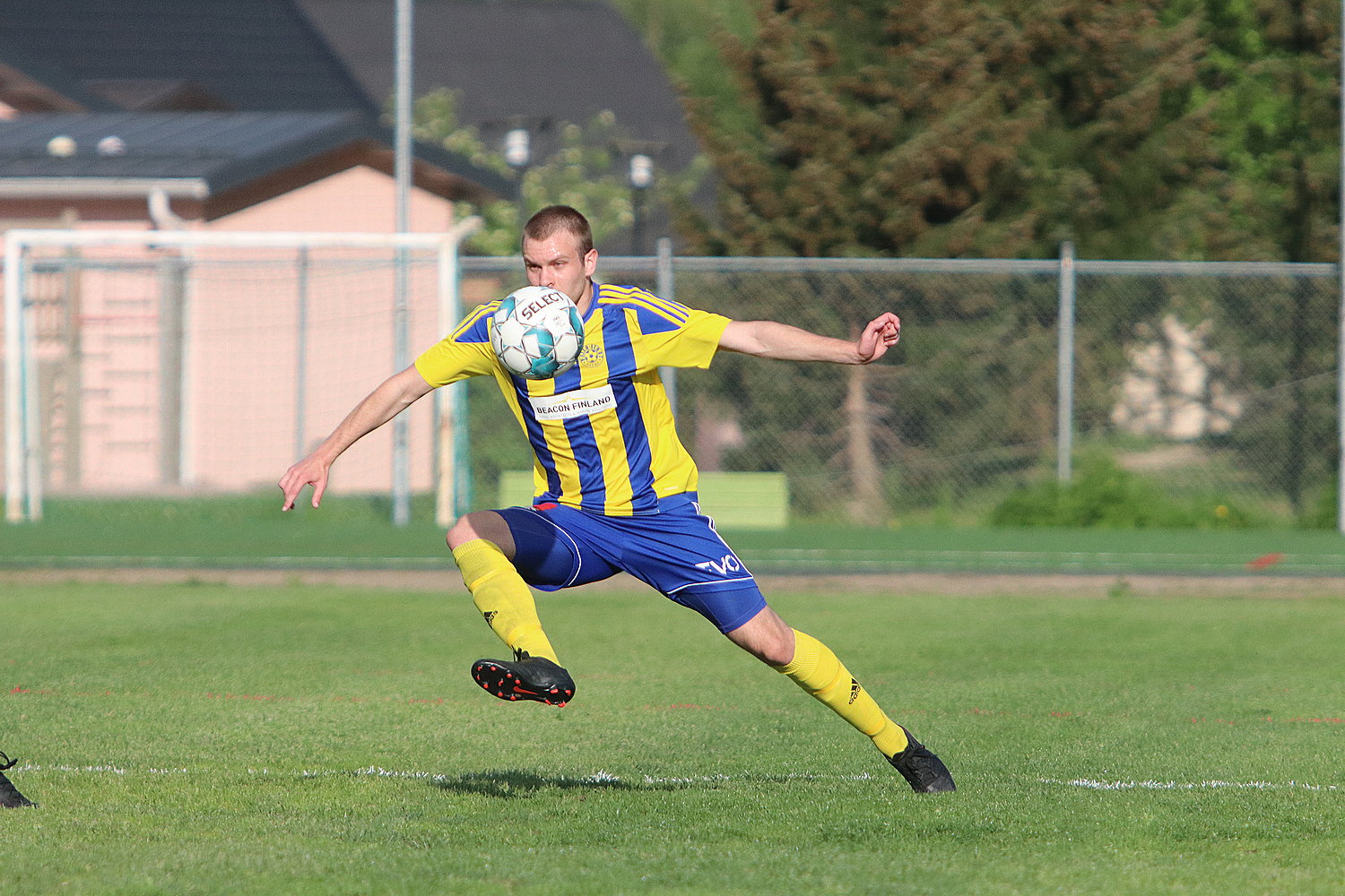 4.6.2021 - (TOVE-P-Iirot)