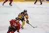 28.1.2022 - (Ässät-SaiPa) kuva: 134