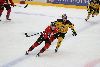 28.1.2022 - (Ässät-SaiPa) kuva: 161