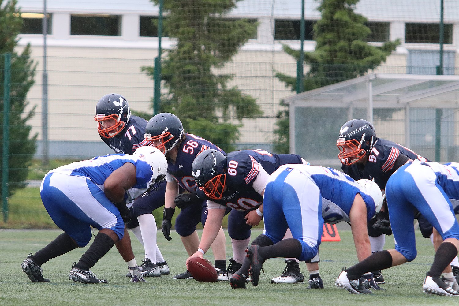 16.7.2022 - (Bears-TAFT)