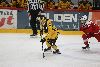 2.12.2023 - (Ässät-SaiPa) kuva: 219