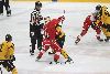 12.10.2024 - (Ässät-SaiPa) kuva: 9