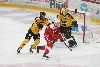 12.10.2024 - (Ässät-SaiPa) kuva: 18