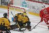 12.10.2024 - (Ässät-SaiPa) kuva: 36